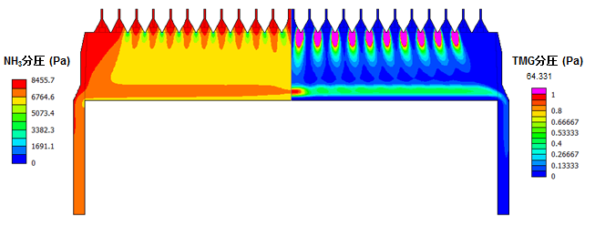 図5. リアクター内のアンモニア分圧分布(左)、リアクター内のTMG分圧分布(右)